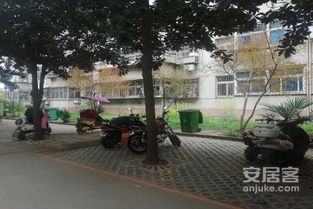 第二膠片廠第二生活區優點 不足,第二膠片廠第二生活區怎么樣,第二膠片廠第二生活區周邊房產中介經紀人評價 南陽安居客